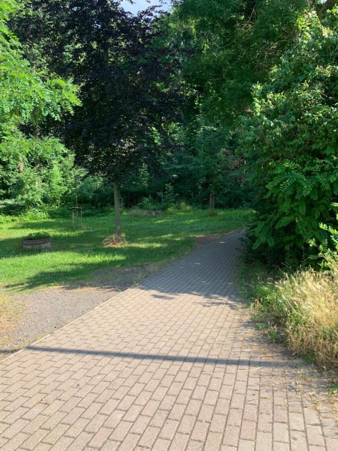 Parkhotel Schnorr Lutherstadt Eisleben Exteriör bild